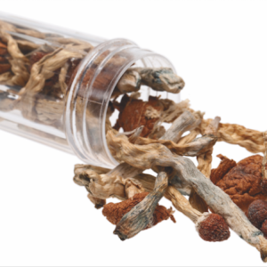 Acheter champignon magique en ligne Quebec